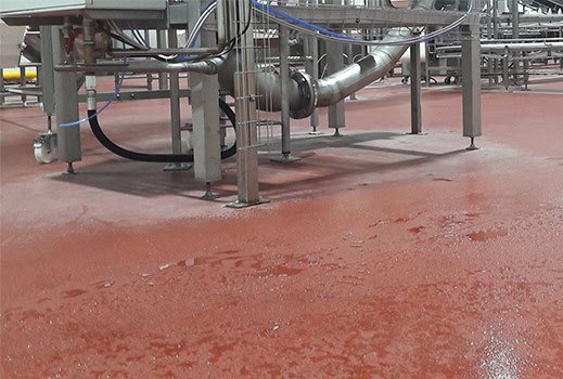 Food & Beverage Flooring